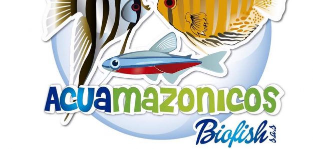 Acuamazonicos Biofish SAS