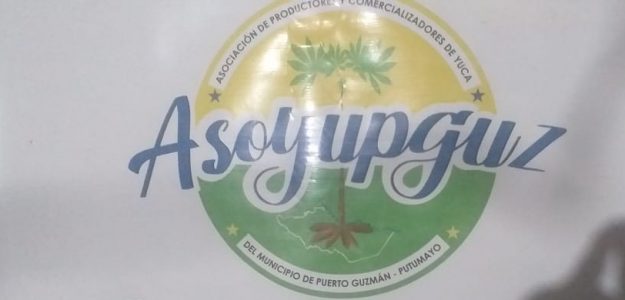 Asociación de Productores y Comercializadores de Yuca del Municipio de Puerto Guzmán Putumayo