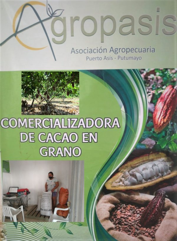 Compra venta de Cacao en grano seco