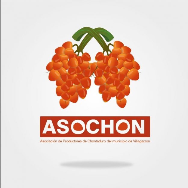 Asochon - Asociacion de Productores de Chontaduro del Municipio de Villagarzón