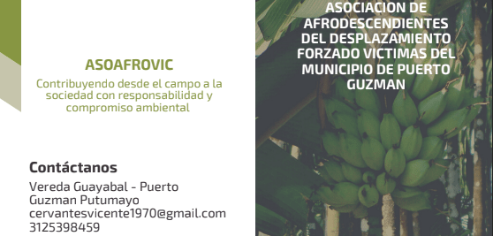 Asociación para el desarrollo ASOAFROVIC