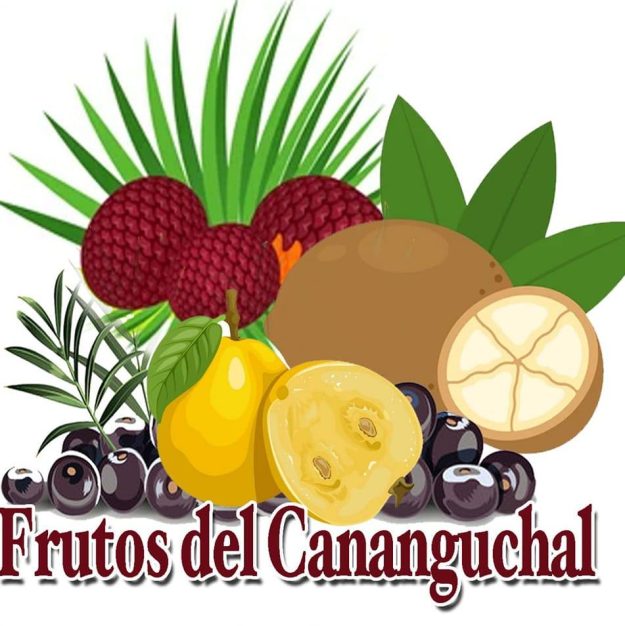 Frutos del Cananguchal